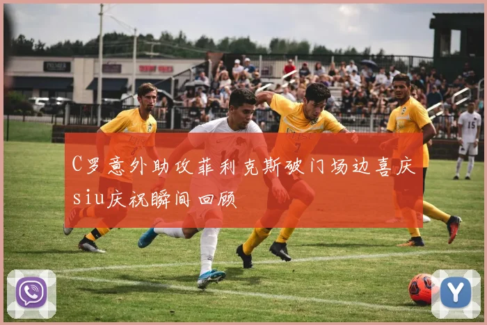 C罗意外助攻菲利克斯破门场边喜庆siu庆祝瞬间回顾