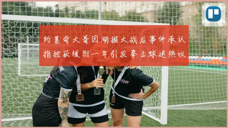 约基奇大哥因湖掘大战后事件承认指控获缓刑一年引发拳击球迷热议